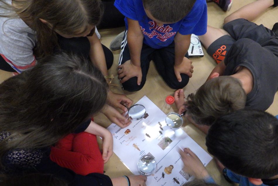 MaisondeLoireduCher-NL-2019-06-20 14-44-29 - 0142