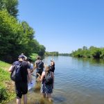 Formation : Insectes aquatiques 11 & 12 mars 2026