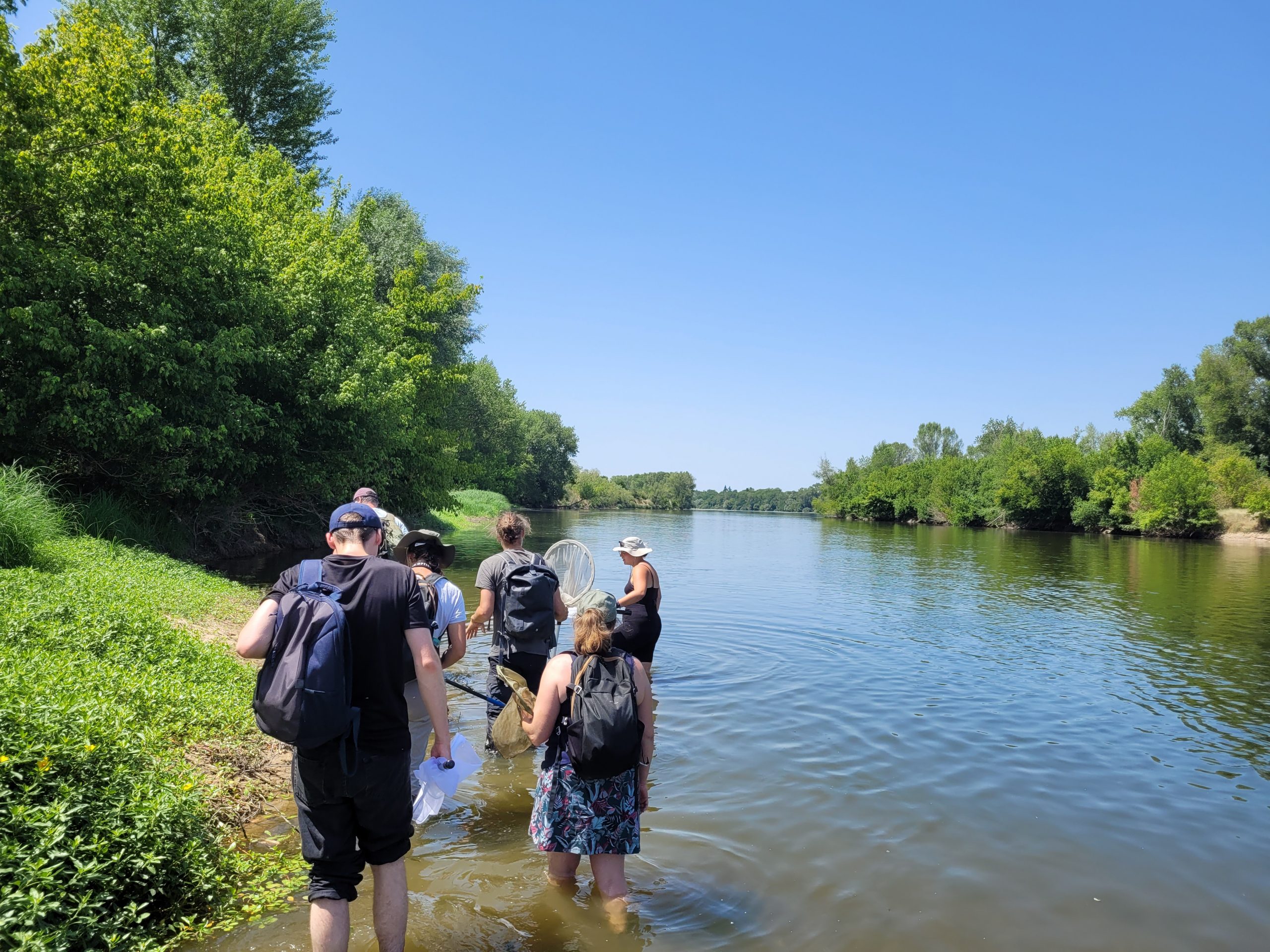 Formation : Insectes aquatiques 11 & 12 mars 2026
