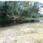 Conférence : Changement climatique, comment évaluer ses conséquences sur l’espace fluvial ?