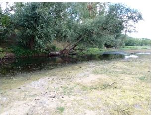 Conférence : Changement climatique, comment évaluer ses conséquences sur l’espace fluvial ?