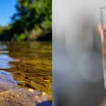 Conférence : Les microplastiques